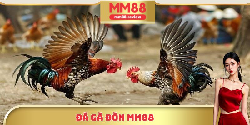 Đá gà đòn MM88