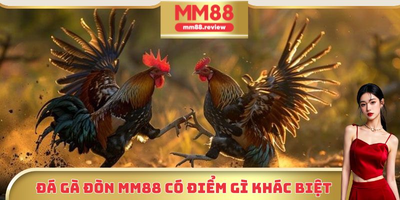 Những điểm khác biệt của đá gà đòn MM88 với các hình thức khác
