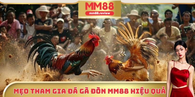 Kinh nghiệm tham gia đá gà đòn MM88 hiệu quả nhất hiện nay