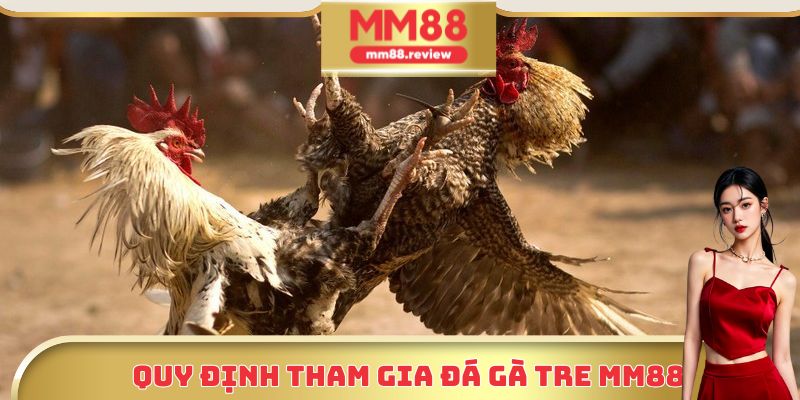 Quy định tham gia đá gà tre cho các tân thủ chưa biết
