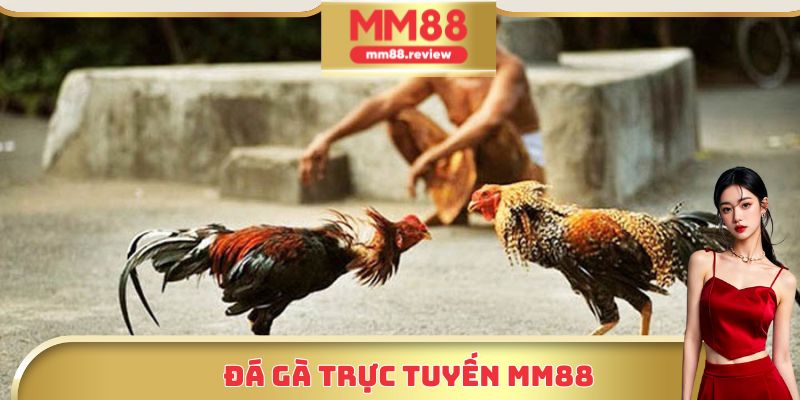 Đá gà trực tuyến MM88