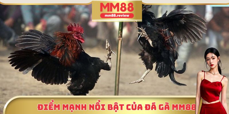 Điểm nổi bật tạo nên sức hút của đá gà trực tuyến MM88