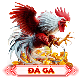 đá gà