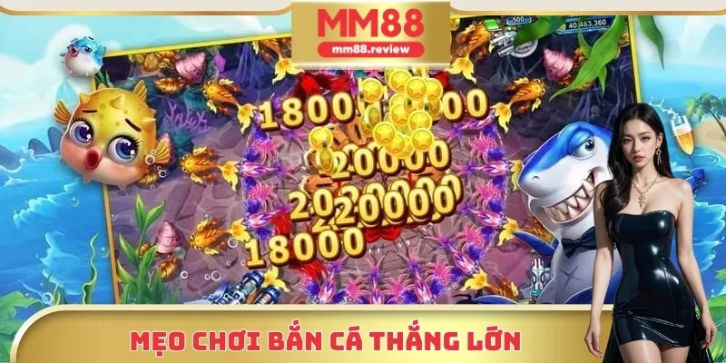 Mẹo chơi bắn cá thắng lớn