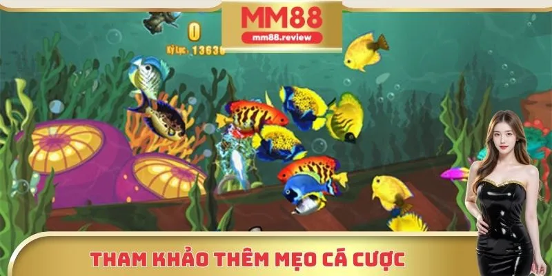 Tham khảo thêm mẹo để áp dụng luật bắn cá MM88 hiệu quả