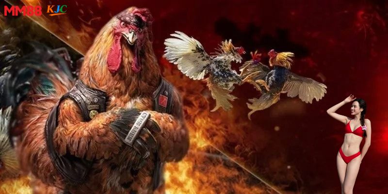 Các loại kèo đá gà cựa dao MM88