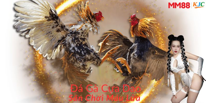 Đá gà cựa dao MM88