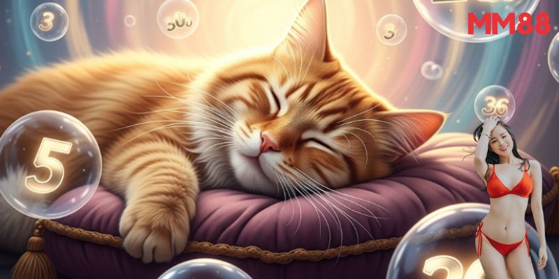 Điềm báo tài lộc trong mơ thấy mèo