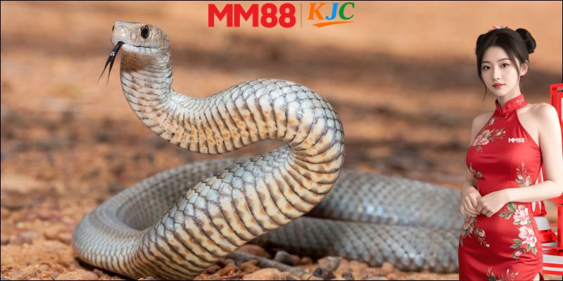 Giải mã giấc mơ nằm mơ thấy rắn MM88