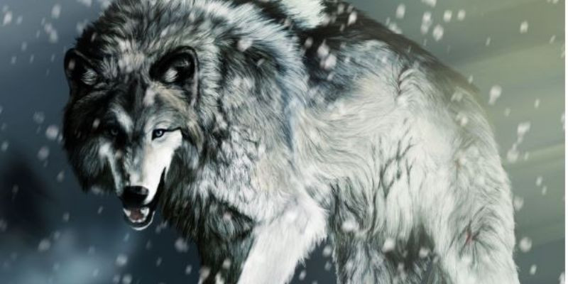 Giải mã giấc mơ thấy chó tại MM88