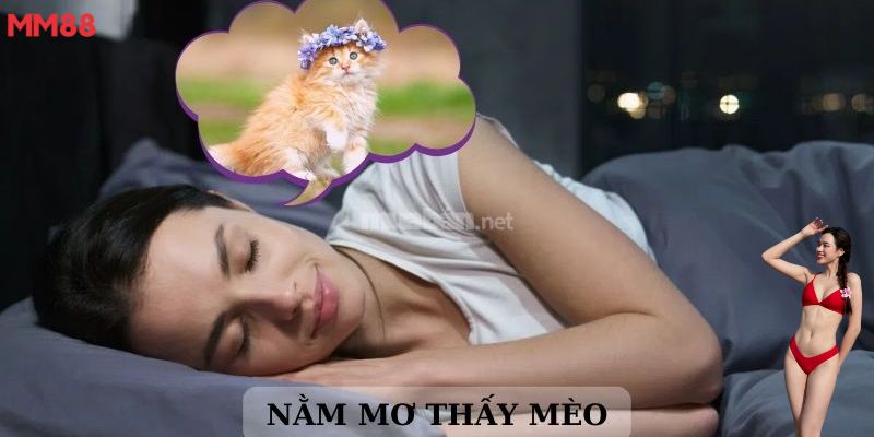 Mơ thấy mèo MM88 giải nghĩa